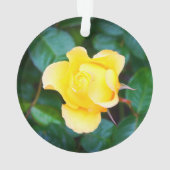 Marcher sur Sunshine Rose #1 Ornament (dos)