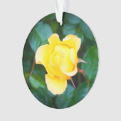 Marcher sur Sunshine Rose #1 Ornament (devant)