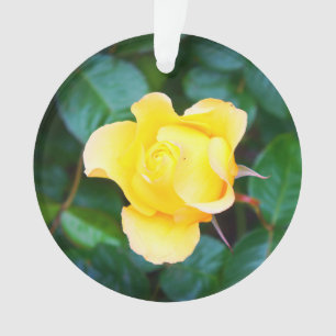 Marcher sur Sunshine Rose #1 Ornament