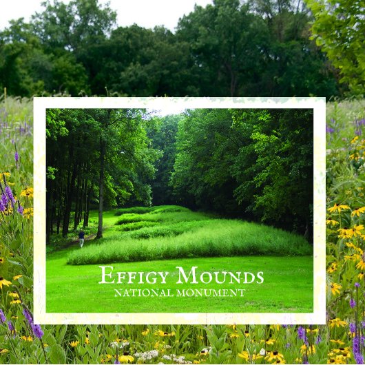 Marching Beer Mounds Group, Summer, Effigy Mounds Briefkaart