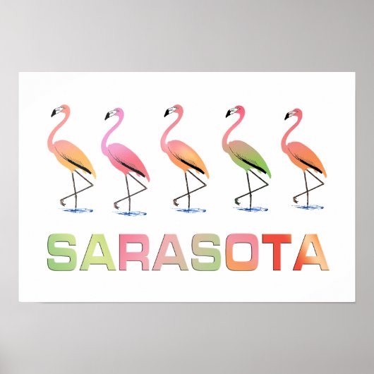 Marching Flamingos Sarasota Poster (Voorkant)