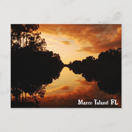 Marco Island FL Briefkaart (Voorkant)