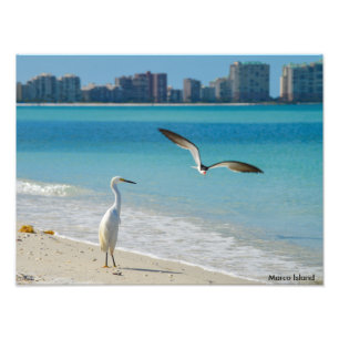 Marco Island Foto Afdruk