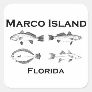 Marco Island Zoutwater Vis Vierkante Sticker