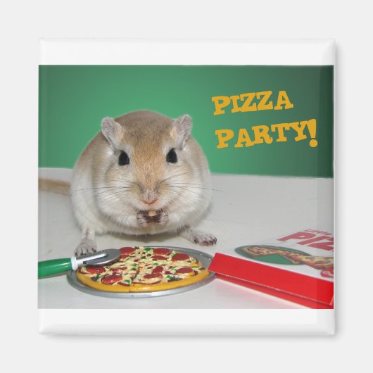 Marco le Magnet de la Pizza Party de Gerbil (Devant)
