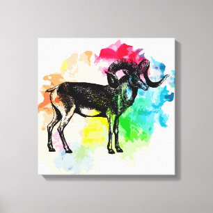 Marco polo-schaap canvas afdruk