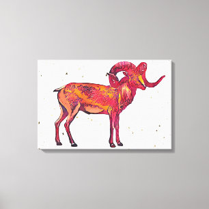Marco polo-schaap canvas afdruk