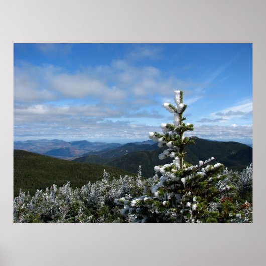 Marcy Trail Poster (Voorkant)