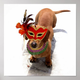 Mardi Gras Dachshund poster