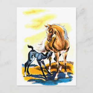 Mare Colt Filly Paard Ruitersport Briefkaart