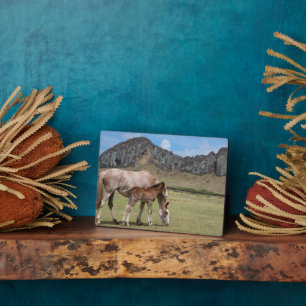 Mare & Colt in de vulkaankrater van Rano Raraku Fotoplaat