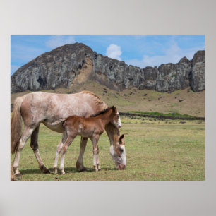 Mare & Colt in de vulkaankrater van Rano Raraku Poster
