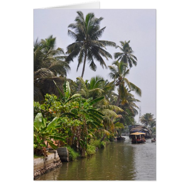 Mare du Kerala (Devant)