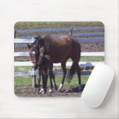 Mare en colt muismat (Met muis)