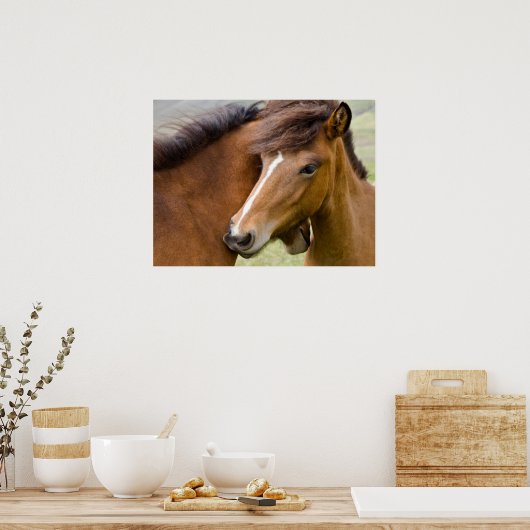 Mare en Colt Poster (Keuken)