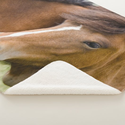 Mare en Colt Sherpa Deken (3/4)