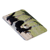 Mare en Filly Walking Magneet (Rechterzijde)