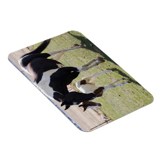 Mare en Filly Walking Magneet (Rechterzijde)
