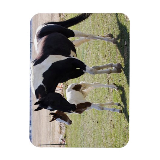Mare en Filly Walking Magneet (Verticaal)