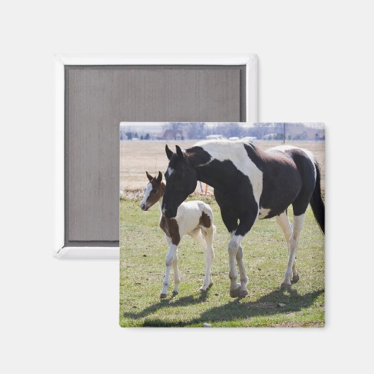 Mare en Filly Walking Magneet (Voorkant / Achterkant)