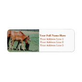 Mare en foal Address Label (Voorkant)