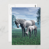 Mare en Foal Briefkaart (Voorkant / Achterkant)