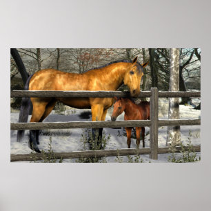 Mare en Foal in het Poster van de winter