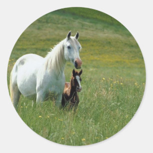 Mare en Foal in Tall Grass Ronde Sticker