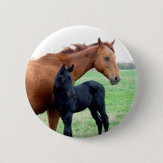 Mare en Hare Colt Ronde Button 5,7 Cm (Voorkant)