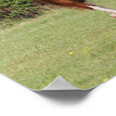 Mare en kalveren die samen lopen poster (Hoek)