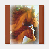 mare et aimant poney (Devant)