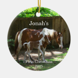 Mare & Foal Baby's eerste kerst Ornament