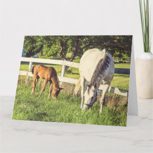 Mare & Foal Horses Groot Wenskaart Kaart