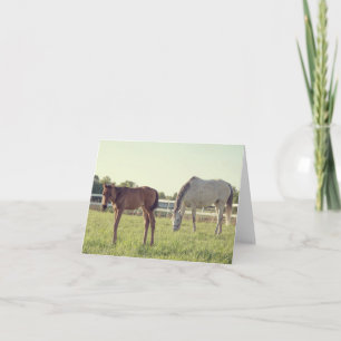 Mare & Foal Horses Note Kaart