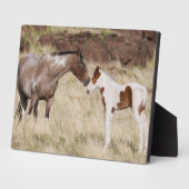 Mare met Colt Fotoplaat (Zijkant)