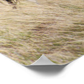 Mare met Colt Poster (Hoek)