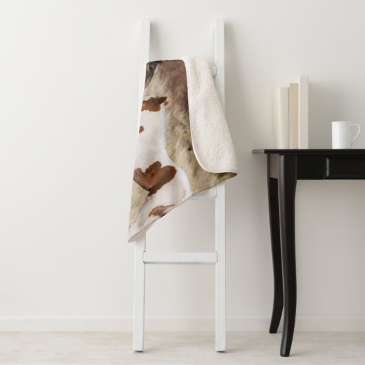 Mare met Colt Sherpa Deken (In situ)