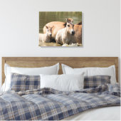 Mare met Foal Crossing a River Canvas Afdruk (Insitu (Slaapkamer))
