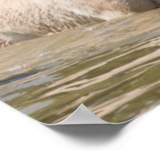 Mare met Foal Crossing a River Poster (Hoek)