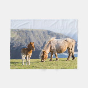 Mare with Foal, Shetland Islands, Scotland Fleece Deken