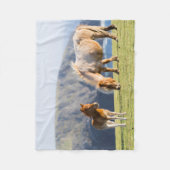 Mare with Foal, Shetland Islands, Scotland Fleece Deken (Voorkant)