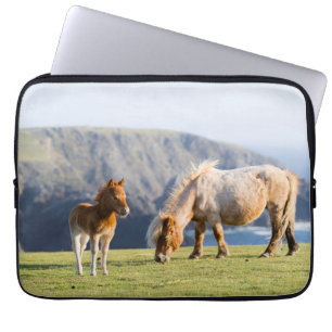 Mare with Foal, Shetland Islands, Scotland Laptop Sleeve