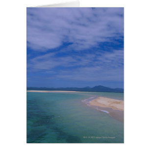 Marée basse sur la plage