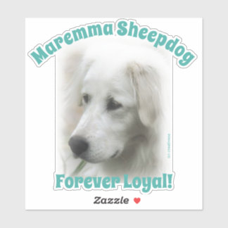 Maremma herdershond Forever Loyale doorzichtige st Sticker