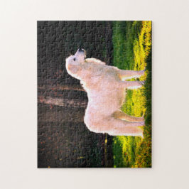 Maremma Sheepdog Beauty Legpuzzel