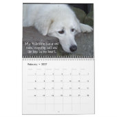 Maremma Sheepdog Calendar Kalender (Feb 2027)