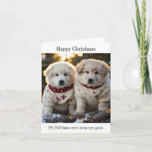Maremma Sheepdog Puppies Christmas Jumpers Kaart