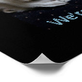 Maremma sheepdog rare wereld poster (Hoek)