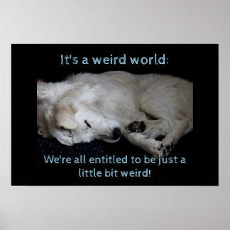 Maremma sheepdog rare wereld poster