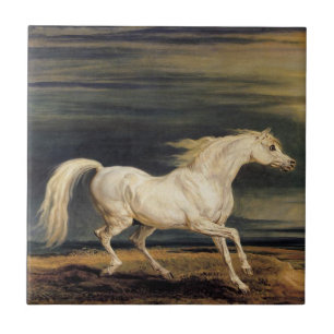 Marengo het Witte Paard (door James Ward) Tegeltje